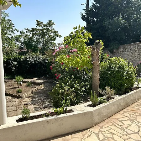 Des Chenes Proche Avignon Villa